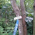 DSC_4374.JPG