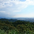 DSC_4378.JPG