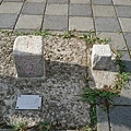 DSC_4388.JPG