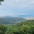 DSC_4392.JPG