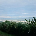DSC_4415.JPG