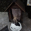 DSC00101.JPG