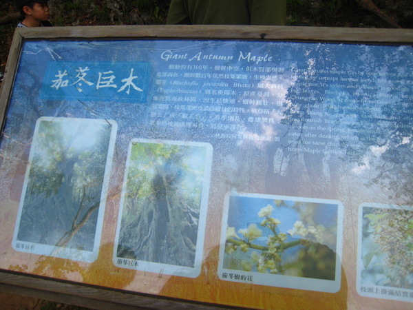 墾丁國家公園