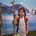 DSCF0041