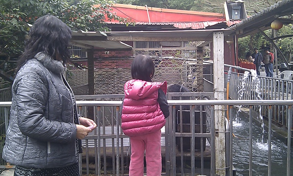 IMAG0490.jpg IMAG0490.jpg