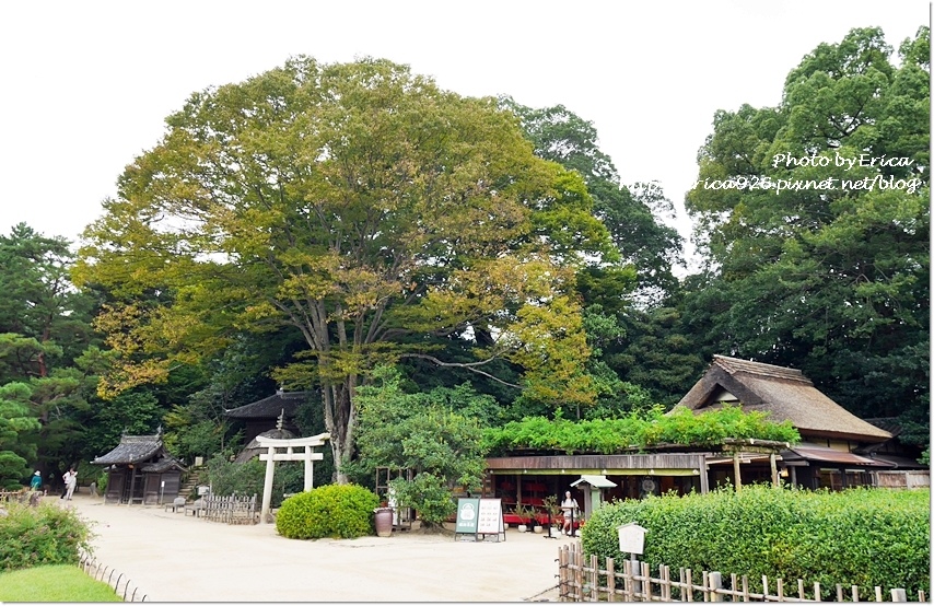 2019濑户内海艺术季D1-2 (40).jpg