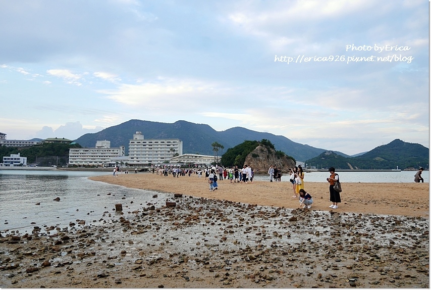 2019濑户内海艺术季D5(61).jpg