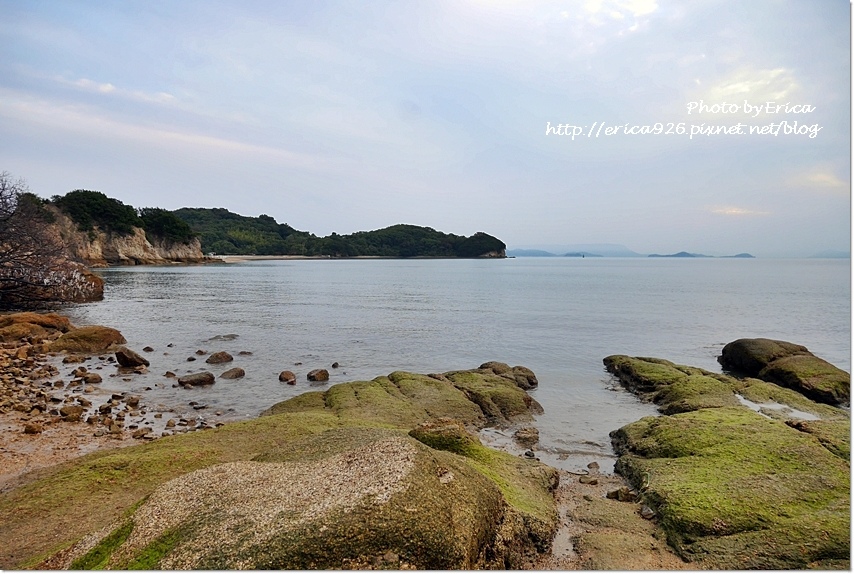 2019濑户内海艺术季D5(63).jpg