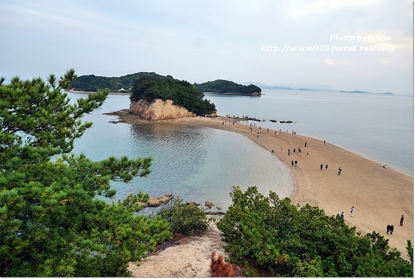 2019濑户内海艺术季D5(65).jpg