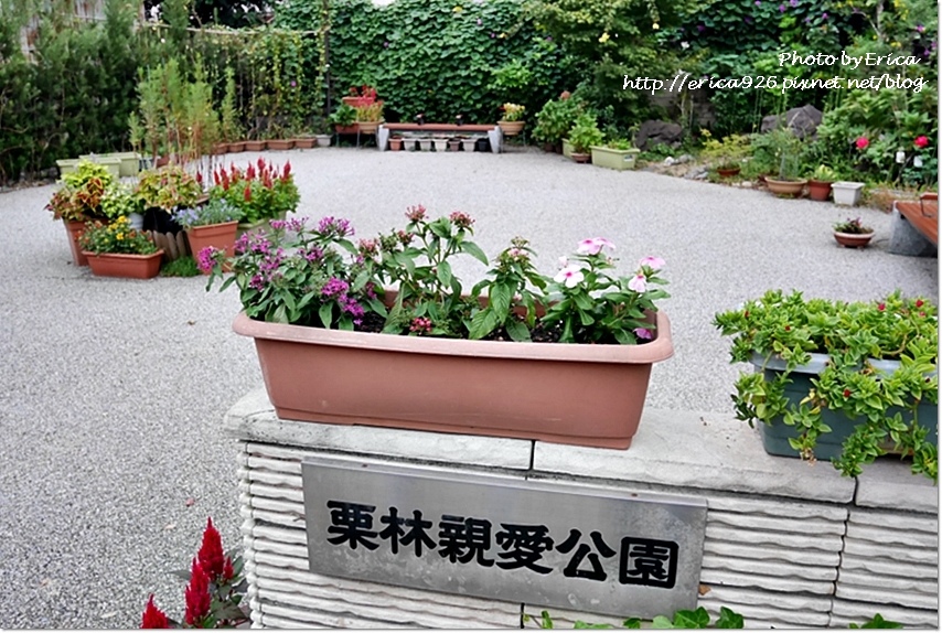 2019濑户内海艺术季D6(62).jpg