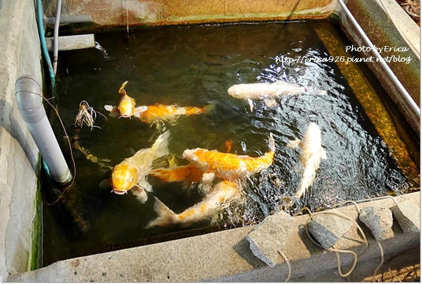 2019濑户内海艺术季D7(27).jpg