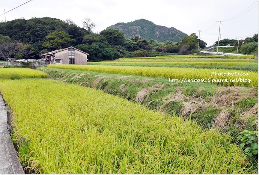 2019瀨戶內海藝術季D7(61).jpg