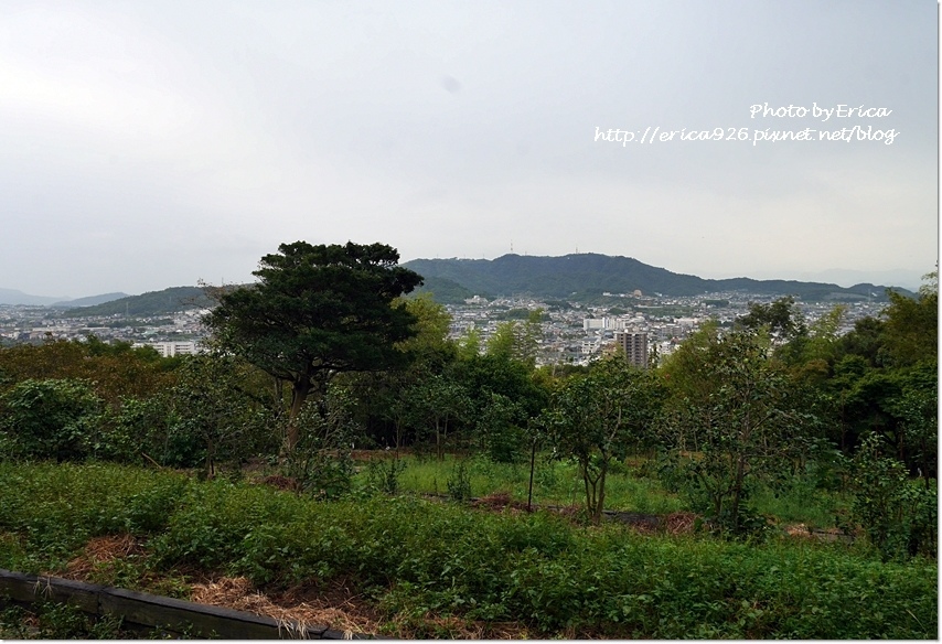 2019濑户内海艺术季D8(35).jpg