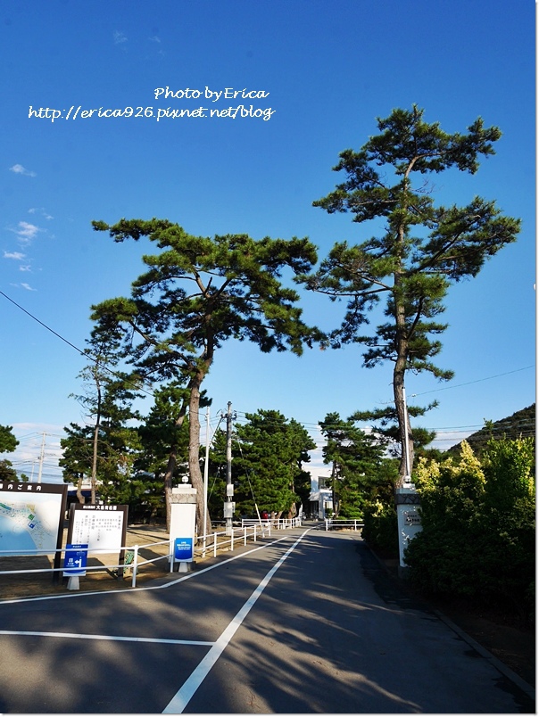 2019濑户内海艺术季D8(53).jpg