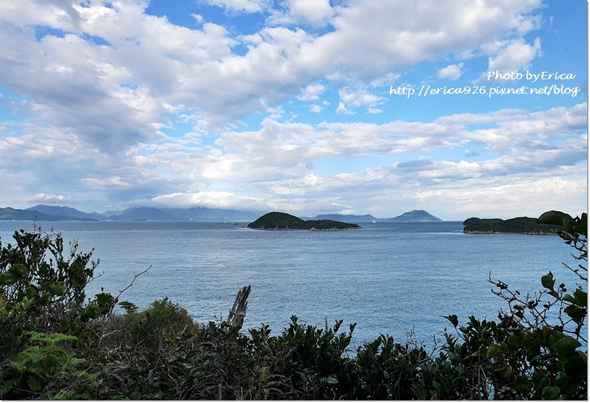 2019濑户内海艺术季D8(85).jpg