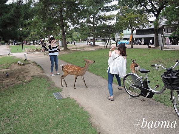 Photo 17-09-2016, 13 12 09.jpg Photo 17-09-2016, 13 12 09.jpg