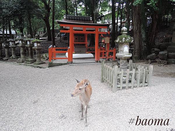 Photo 17-09-2016, 13 44 37.jpg Photo 17-09-2016, 13 44 37.jpg