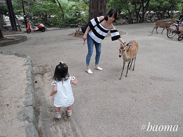 Photo 17-09-2016, 15 17 35.jpg Photo 17-09-2016, 15 17 35.jpg