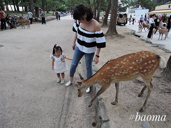 Photo 17-09-2016, 15 15 53.jpg Photo 17-09-2016, 15 15 53.jpg