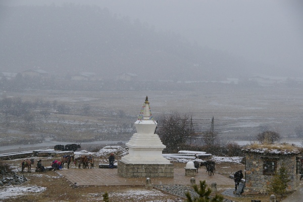 雲南.成都 182.jpg