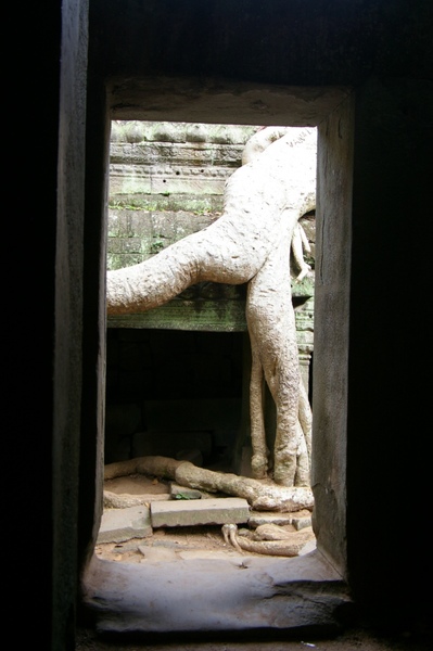 Angkor 677.jpg