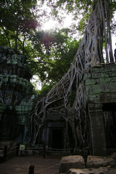 Angkor 670.jpg