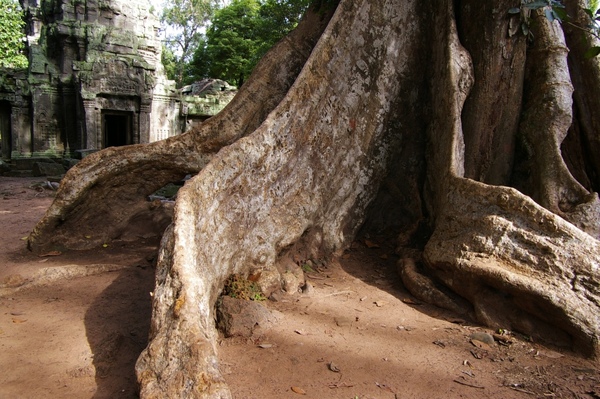 Angkor 660.jpg