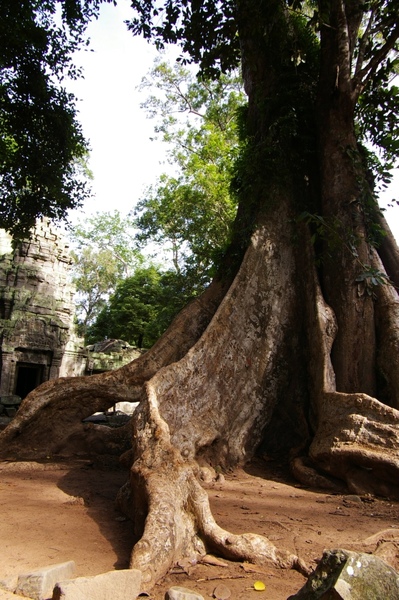 Angkor 658.jpg