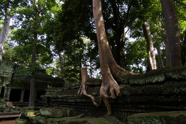 Angkor 637.jpg