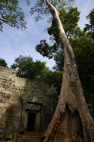 Angkor 623.jpg