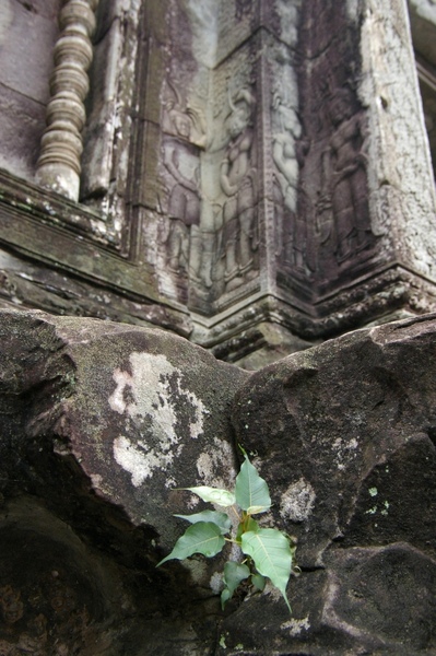 Angkor 1102.jpg