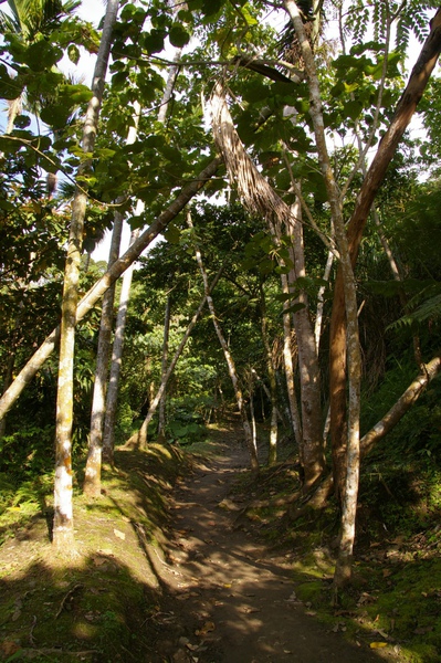 米棧步道 060.jpg