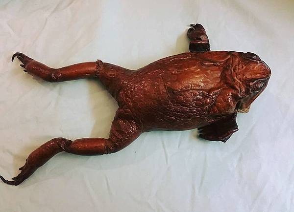 13529130_10201824048478988_3183802965662735436_n.jpg 13529130_10201824048478988_3183802965662735436_n.jpg