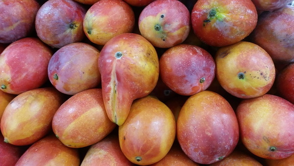 20160709_164035_調整大小.jpg 20160709_164035_調整大小.jpg