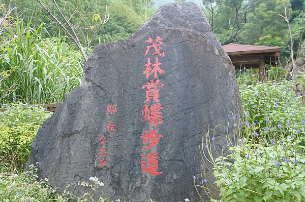 121004 茂林紫斑蝶一日遊