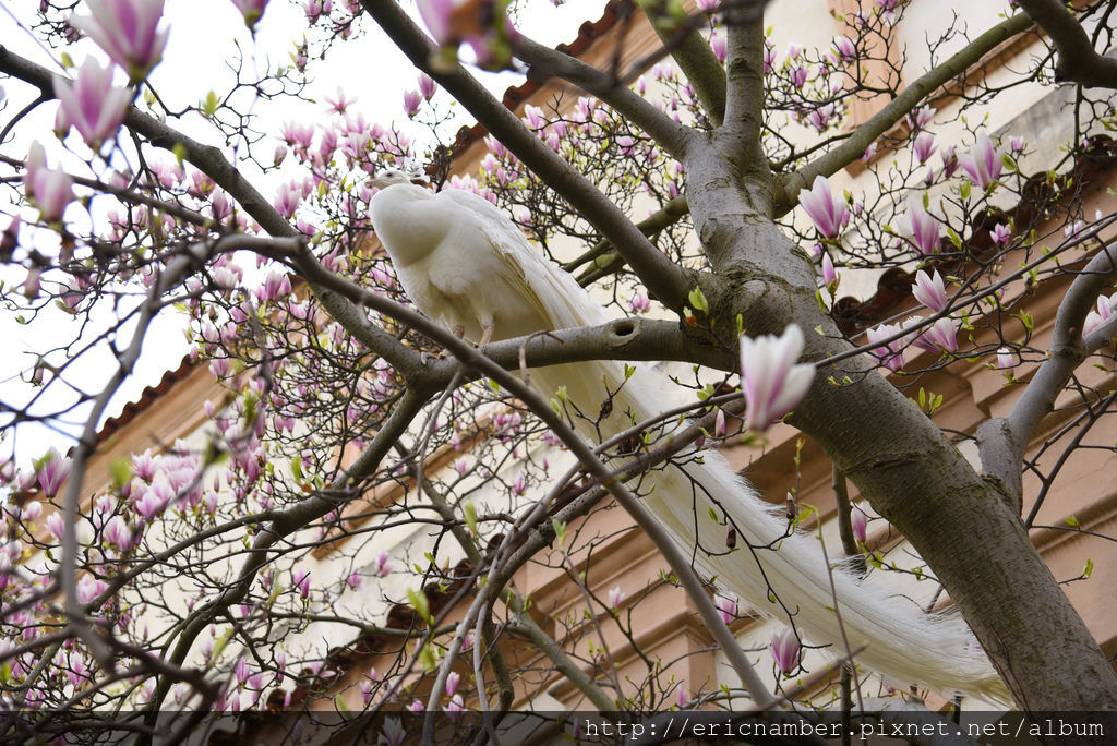 26720642152_ceaa53734e_o-15.jpg 26720642152_ceaa53734e_o-15.jpg