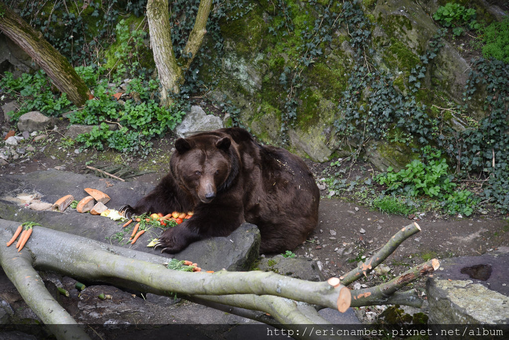 DSC_4803-1.jpg DSC_4803-1.jpg