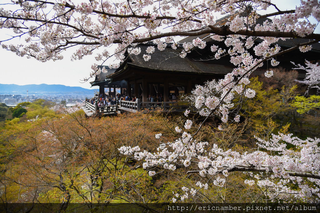 DSC_1319-8.jpg DSC_1319-8.jpg