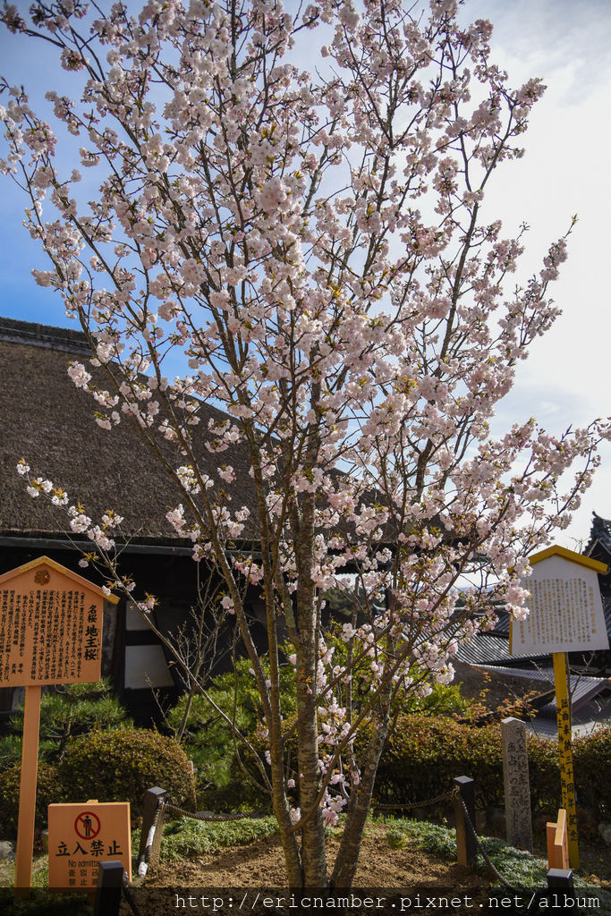 DSC_1412-9.jpg DSC_1412-9.jpg