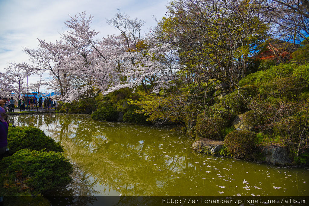 DSC_1463-11.jpg DSC_1463-11.jpg