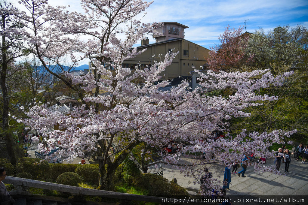 DSC_1481-13.jpg DSC_1481-13.jpg