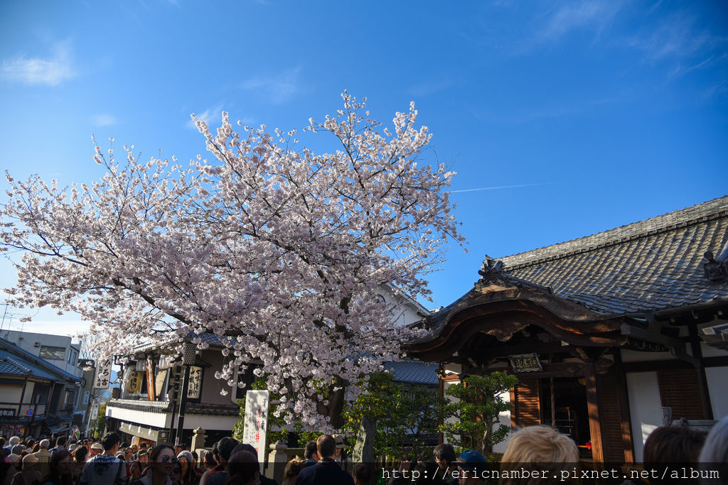 DSC_1568-17.jpg DSC_1568-17.jpg