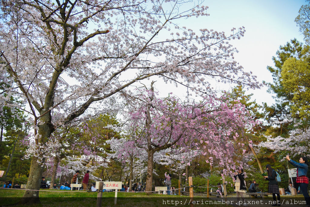 DSC_1623-22.jpg DSC_1623-22.jpg