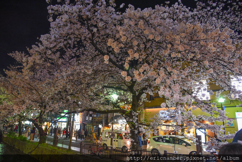 DSC_1653-25.jpg DSC_1653-25.jpg