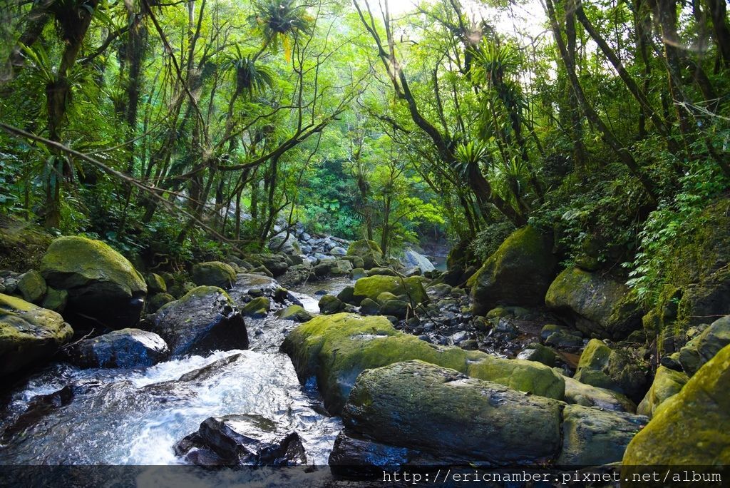 DSC_7654-44.jpg DSC_7654-44.jpg