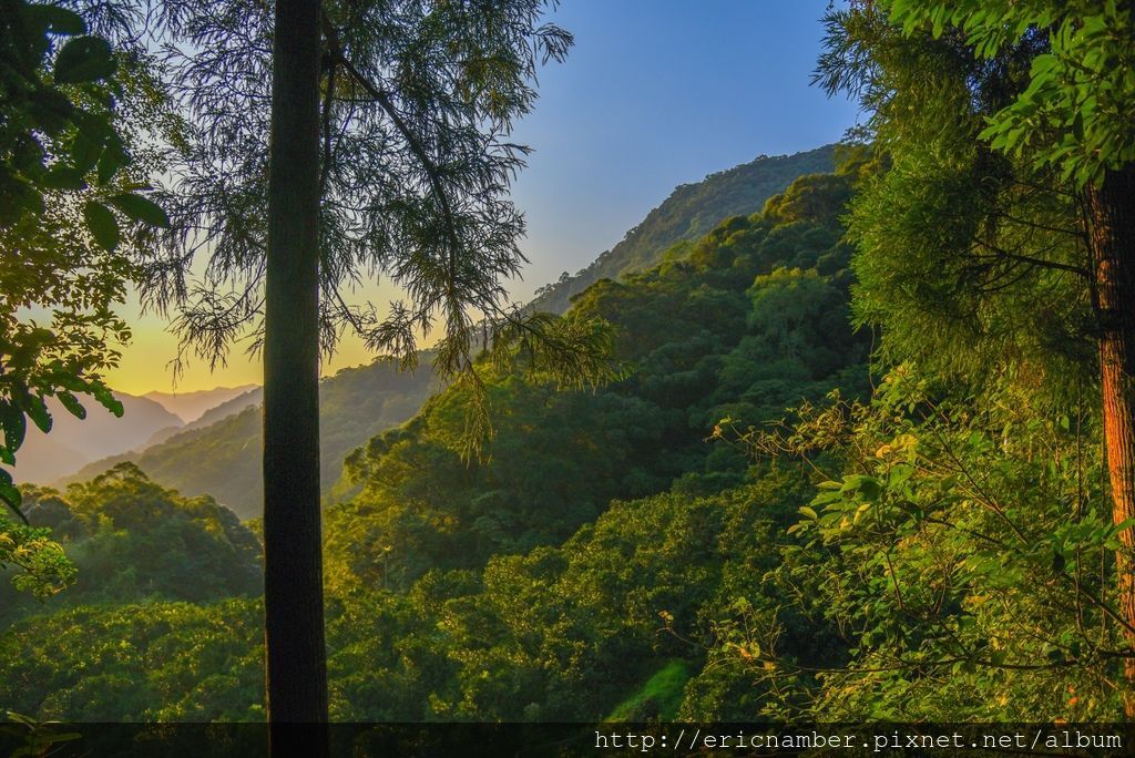 DSC_7665-50.jpg DSC_7665-50.jpg