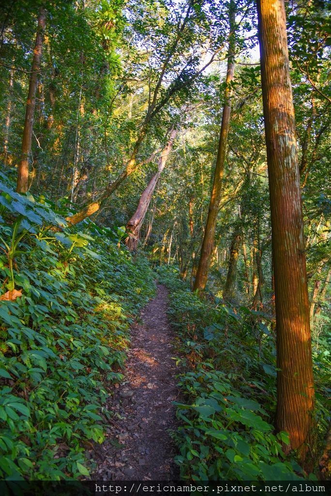 DSC_7660-46.jpg DSC_7660-46.jpg