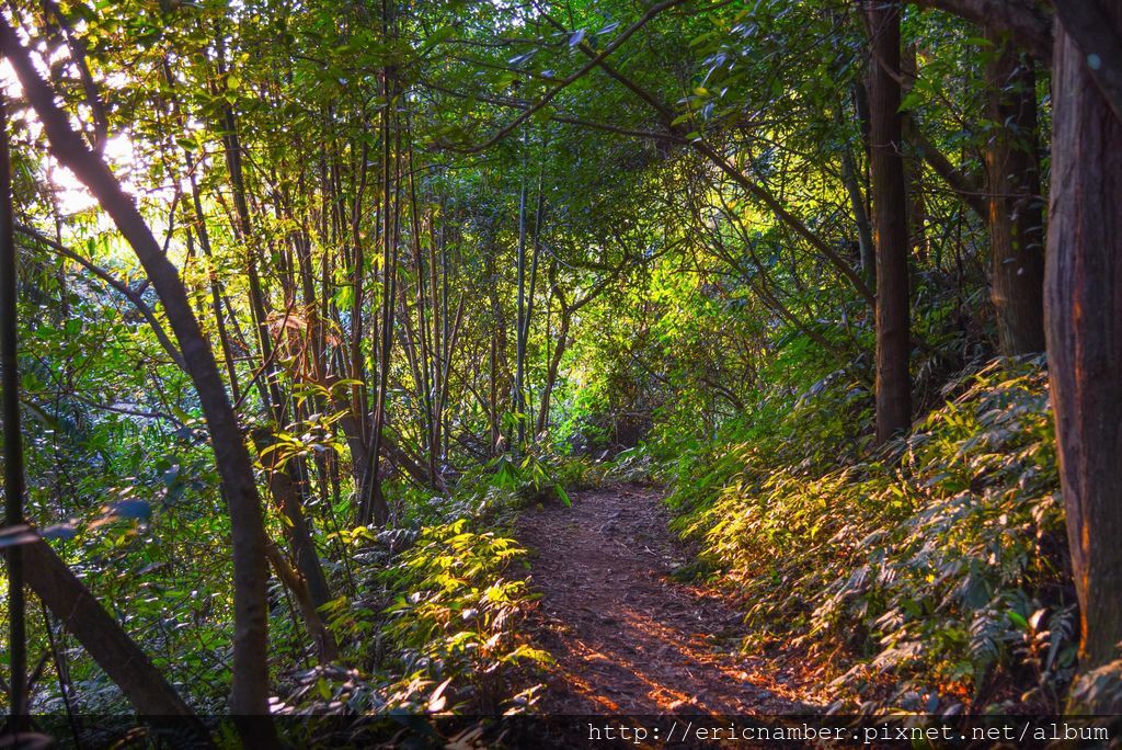 DSC_7670-53.jpg DSC_7670-53.jpg