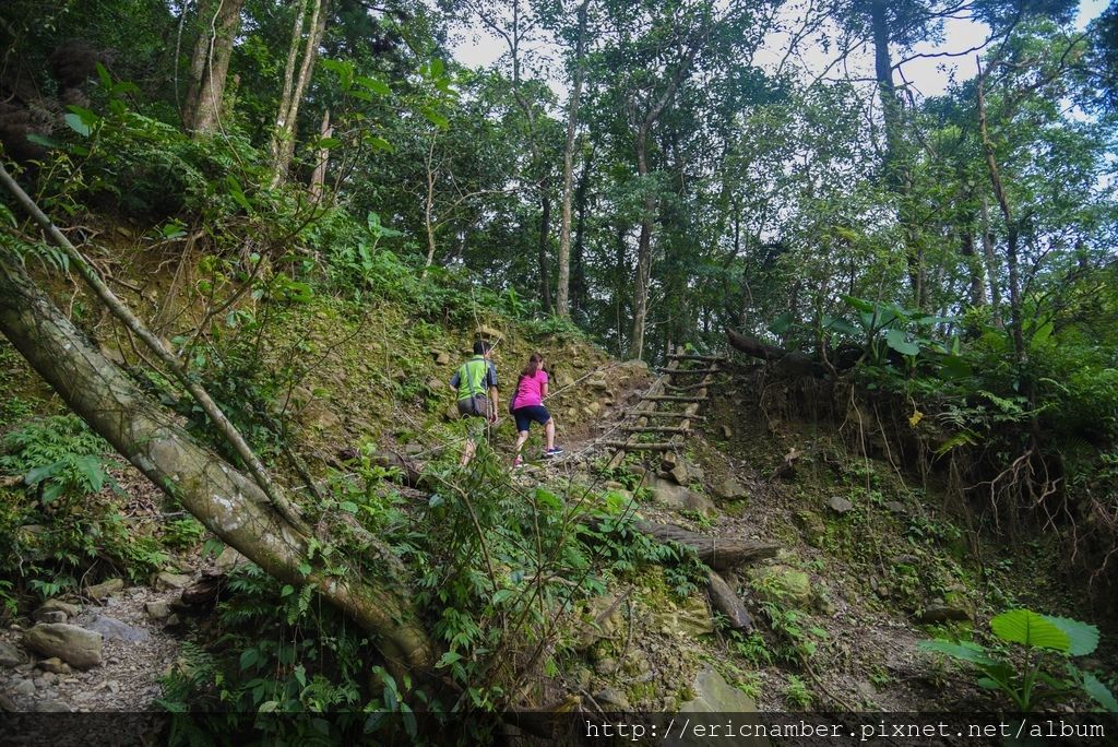 DSC_7592-11.jpg DSC_7592-11.jpg