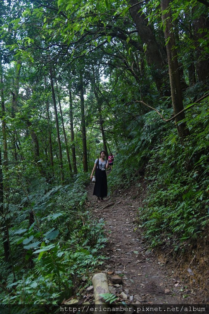 DSC_7585-5.jpg DSC_7585-5.jpg